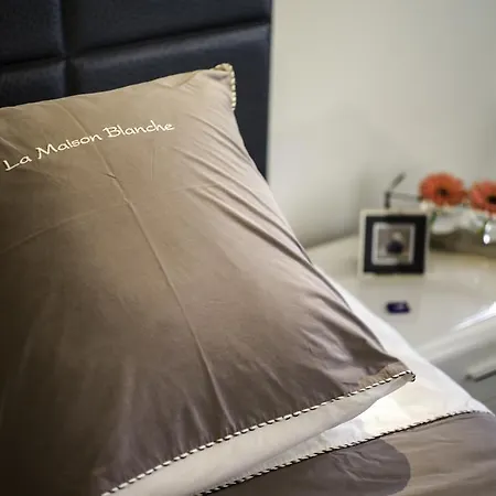 Guest house La Maison Blanche Beaune (Cote d'Or)