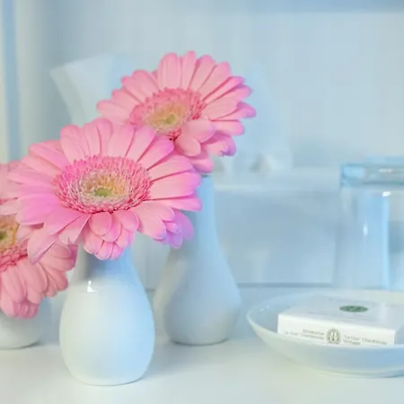 La Maison Blanche 3*