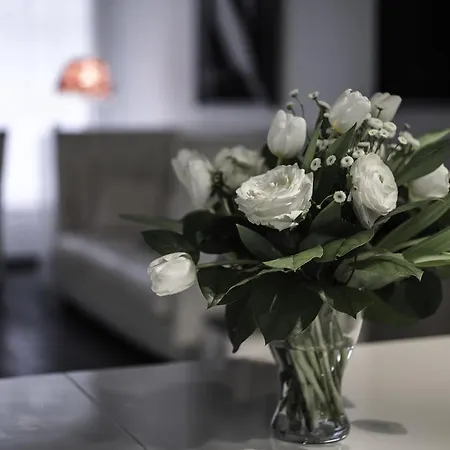 Guest house La Maison Blanche Beaune (Cote d'Or)