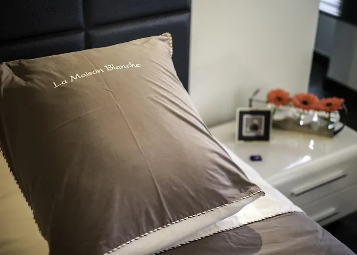 ゲストハウス La Maison Blanche ボーヌ