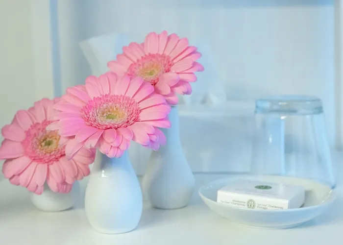 La Maison Blanche 3*